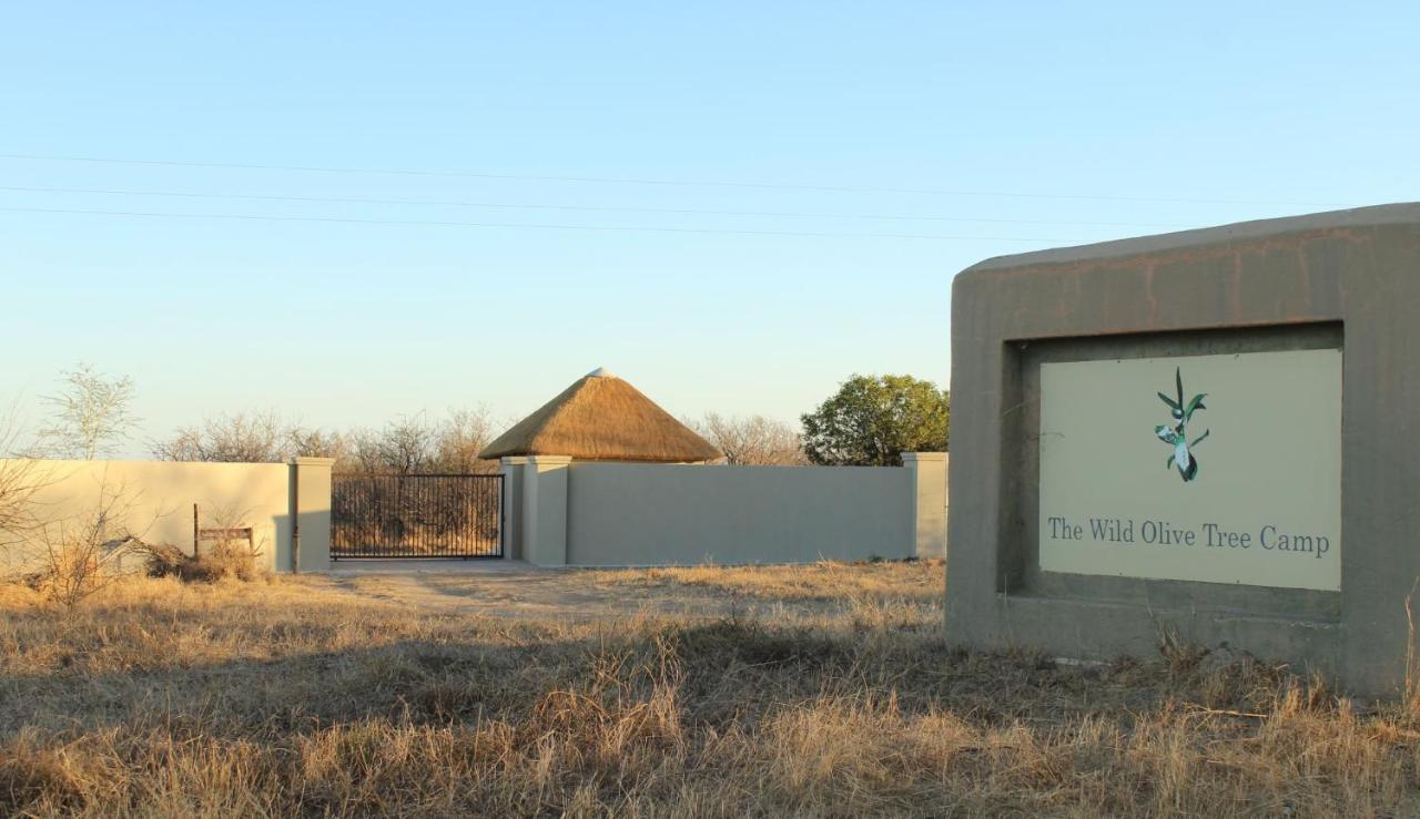 The Wild Olive Tree Camp Hotel Welverdiend  Exterior photo